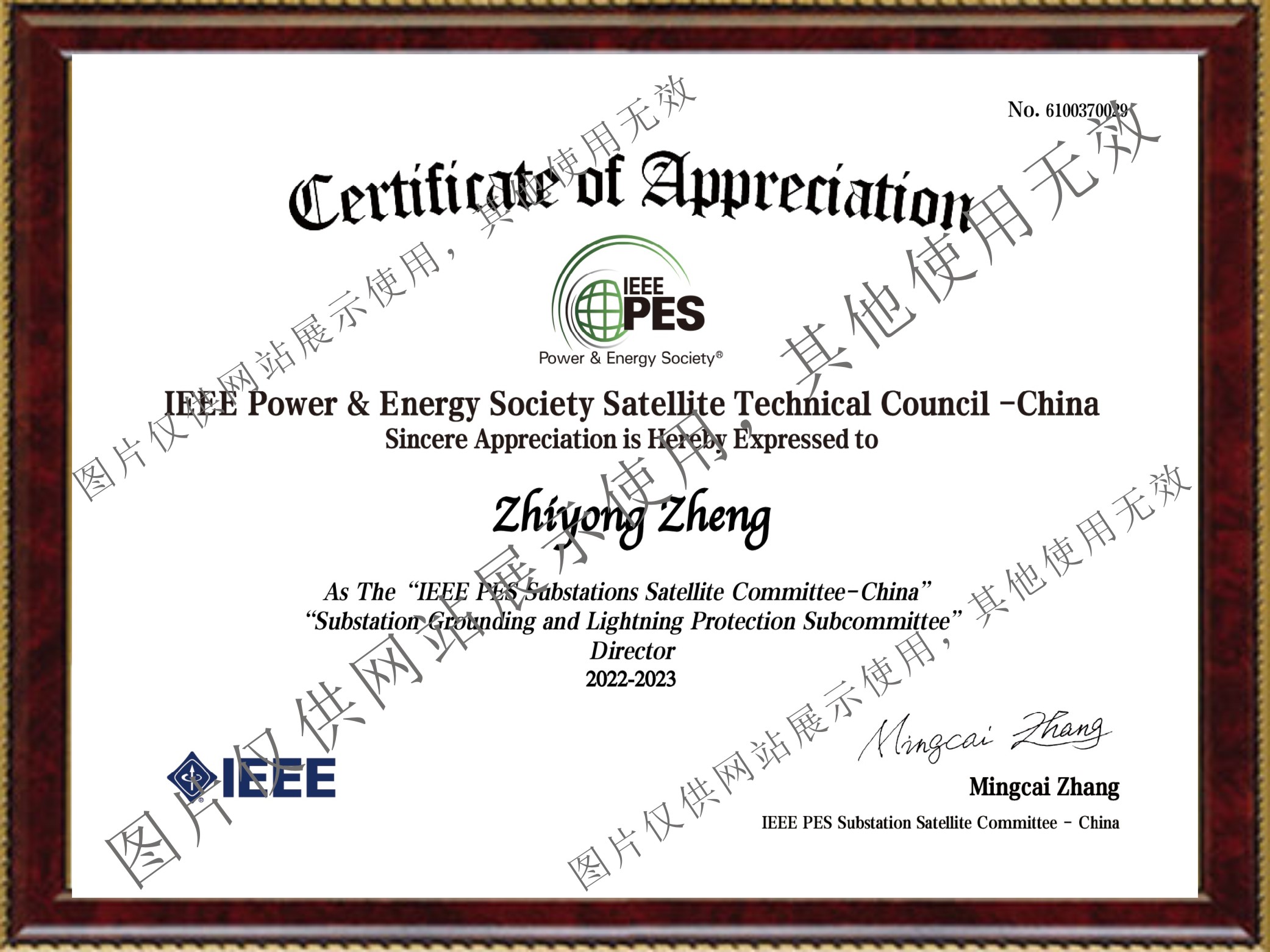 熱烈慶祝我公司董事長當(dāng)選為IEEE PES 變電站接地與防雷分技術(shù)委員會理事